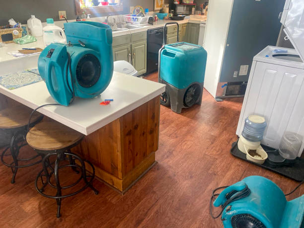 Best Fire Damage Restoration  in Littleton, CO