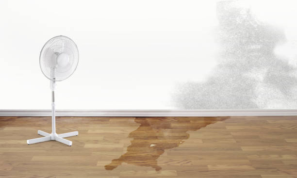Reliable Littleton, CO Water damage restoration Solutions