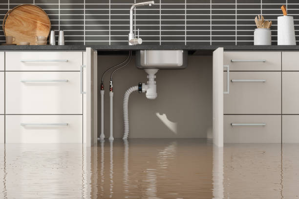 Best Flood damage cleanup  in Littleton, CO